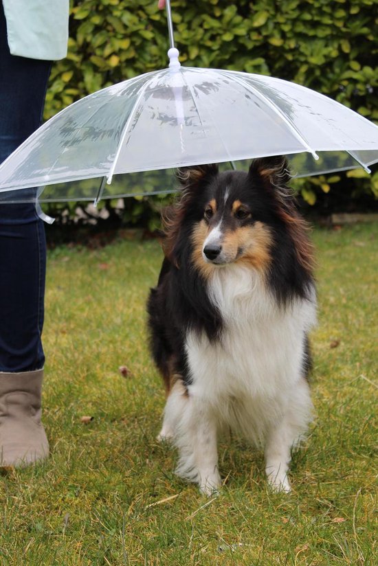 hondenparaplu paraplu voor honden