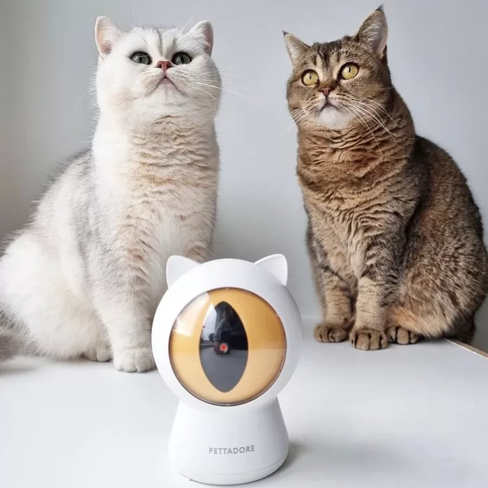speelgoed voor katten slimme laser